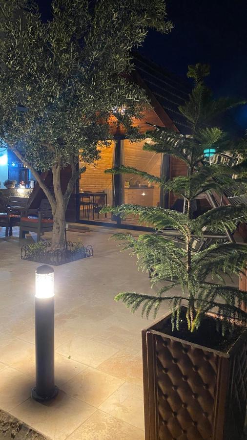 Olive Cottage Madaba Zewnętrze zdjęcie